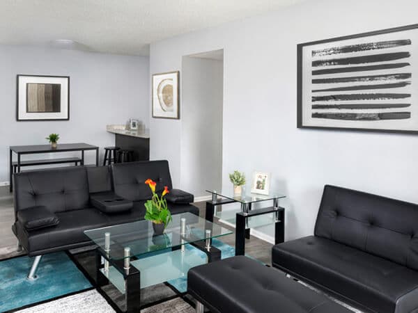 crla-livingroom apartment at Chestnut Ridge